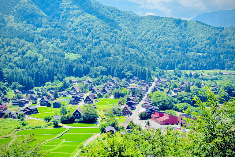 Kanazawa: Shirakawago, Gokayama, and Takayama Full Day Trip
