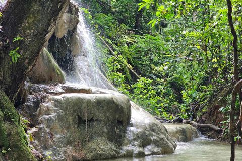 Chiangmai: Klebriger Wasserfall, Land der Engel und Wat ban den.