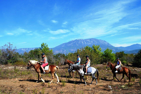 Alanya: Unique Horse Safari Experience in the Taurus Mountains with Transport Alanya: Unique Horse Safari Experience in the Taurus Mountains + Transfer