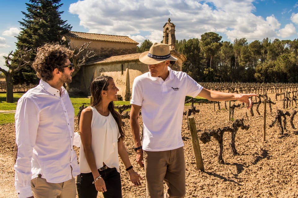 Desde Barcelona: Ruta De Los Viñedos Del Penedés En 4x4 Con Vino Y Cava ...