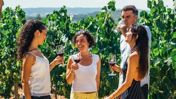 barcelona wine cava tapas vineyards 4wd experience