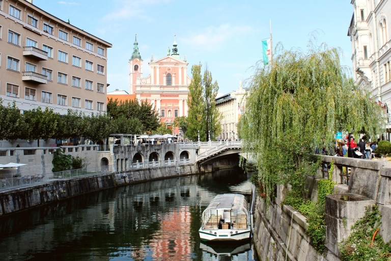 Excursion privée d'une journée complète sur le meilleur de la Slovénie au départ de Zagreb