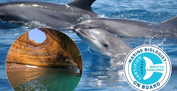 Lagos: Combo Dolphin and Benagil Tour with Marine Biologist