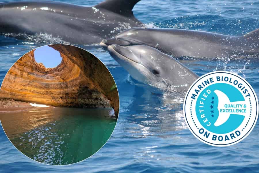 Lagos: Delfin- und Benagil-Tour mit Meeresbiologen. Foto: GetYourGuide
