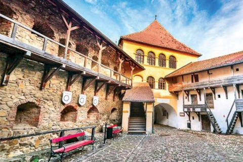 From Brașov: Prejmer & Hărman Fortified Churches Tour