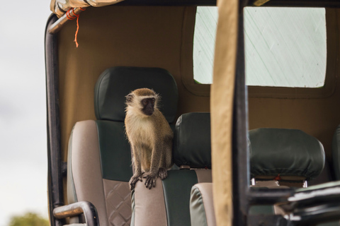 From Zanzibar: 2-Day Selous Safari with Flights & Lodge Stay 2-Day Selous Safari - Without Transfer