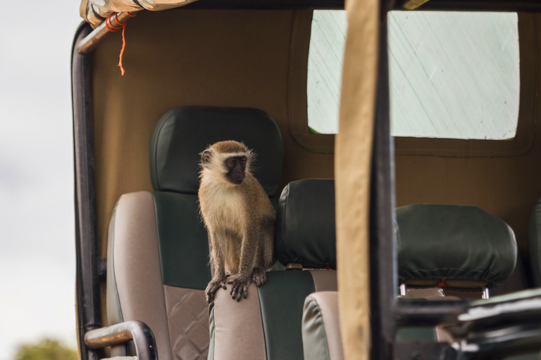 From Zanzibar: 2-Day Selous Safari with Flights & Lodge Stay 2-Day Selous Safari - Without Transfer