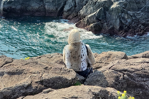 Jeju-ön: Södra och västra dagsutflykten