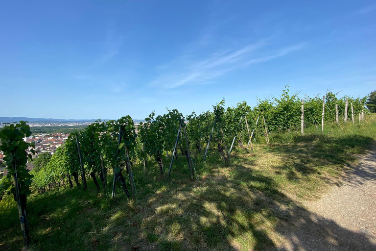 From Basel or Colmar: Baden-Württemberg Pinot Wine Tour