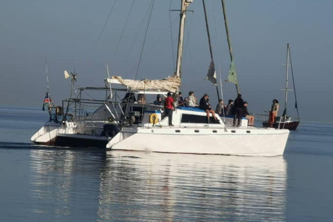 Walvis Bay Marine Cruise & Coastal Discovery