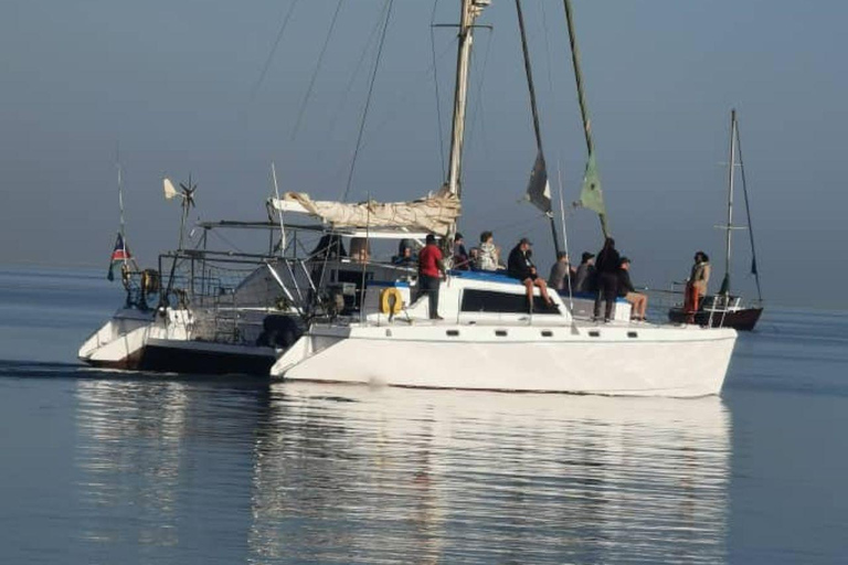 Walvis Bay Marine Cruise & Coastal Discovery