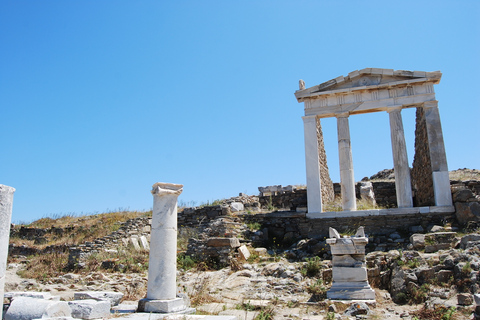 Vanuit Naxos: Boottocht Delos en Mykonos hele dagZonder afhalen