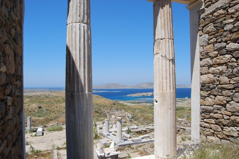 Depuis Naxos : visite de Délos et Mykonos en bateauSans prise en charge