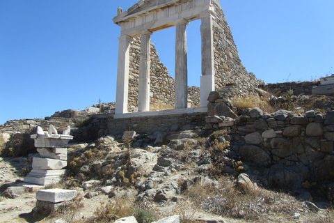 Vanuit Naxos: Boottocht Delos en Mykonos hele dagZonder afhalen