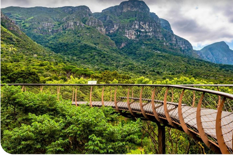 Cidade do Cabo: Experimenta as seis maravilhas da Cidade do Cabo em 3 dias