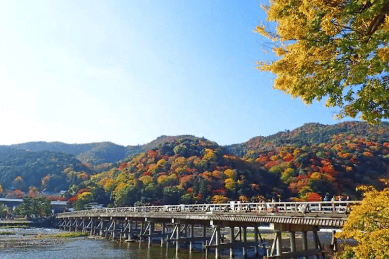 Kyoto Full Day Customizable Private Tour with English Guide