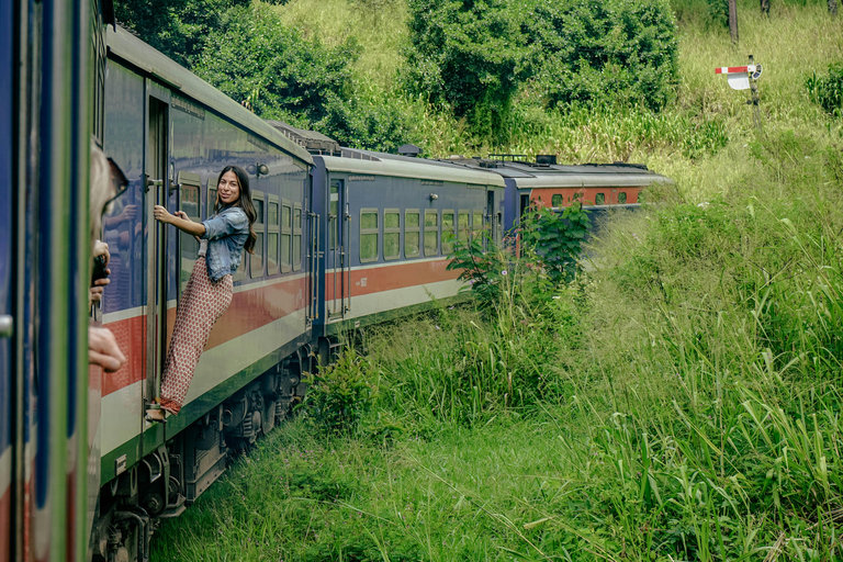 Ella: Visita guiada de um dia com visita a uma propriedade de chá