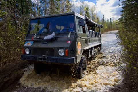 Healy: Denali Backcountry Safari