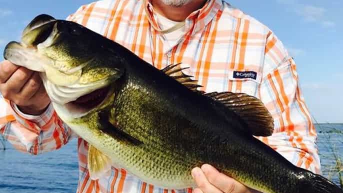 palm beach bass fishing
