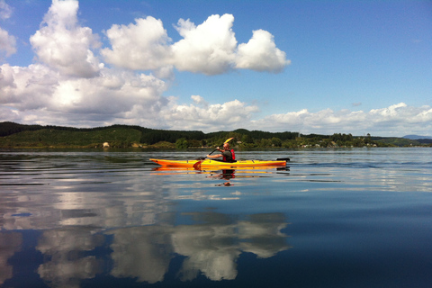 Kayak Guiado por el Lago Rotoiti y las Piscinas Calientes