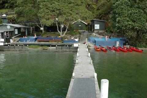 Kayak guidé par Lake Rotoiti et Hot Pools