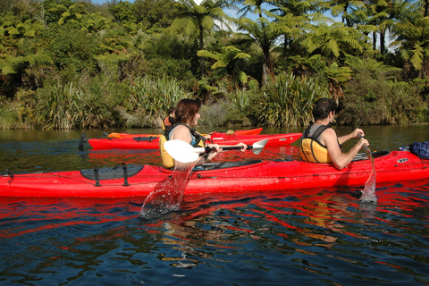 Lake Rotoiti & Hot Pools Geführtes Kajak