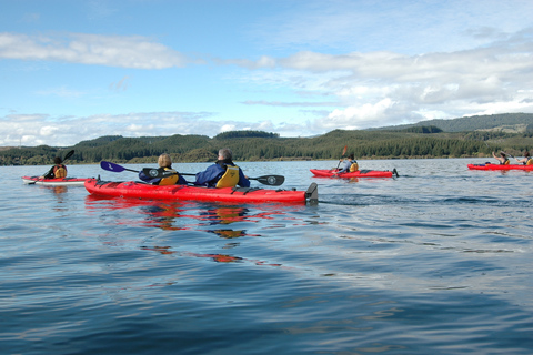 Lago Rotoiti e caiaque guiado pelas piscinas quentes