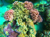 Bora Bora, safari Lagoon Full Day & Lunch on a Motu - St - Housity