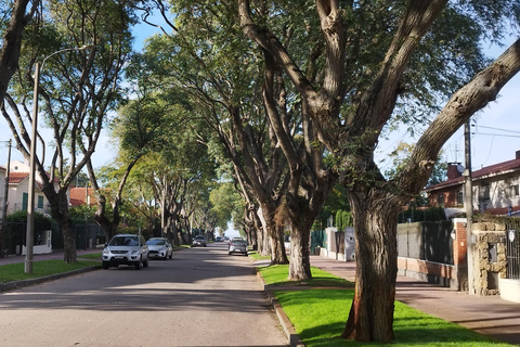 Montevideo from Buenos Aires -Unique Private Tour ExperienceMontevideo from Buenos Aires - Unique Day Tour Experience