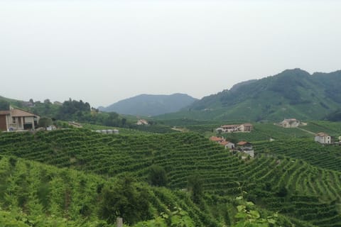 Prosecco Tour and Tasting from Venice