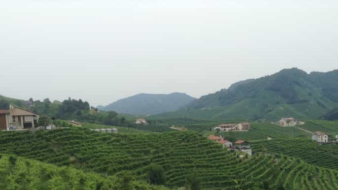 prosecco tour and tasting from venice