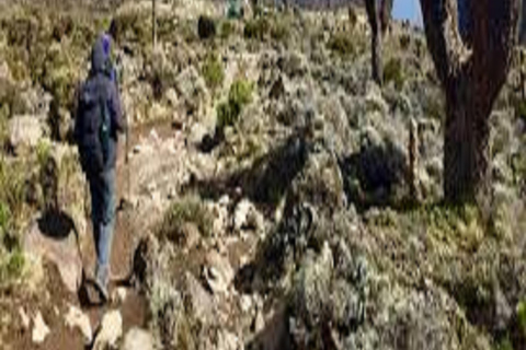 3-DNIOWY NAJLEPSZY TREKKING NA KILIMANDŻARO: ZAOFERUJ TRASĘ MACHAME