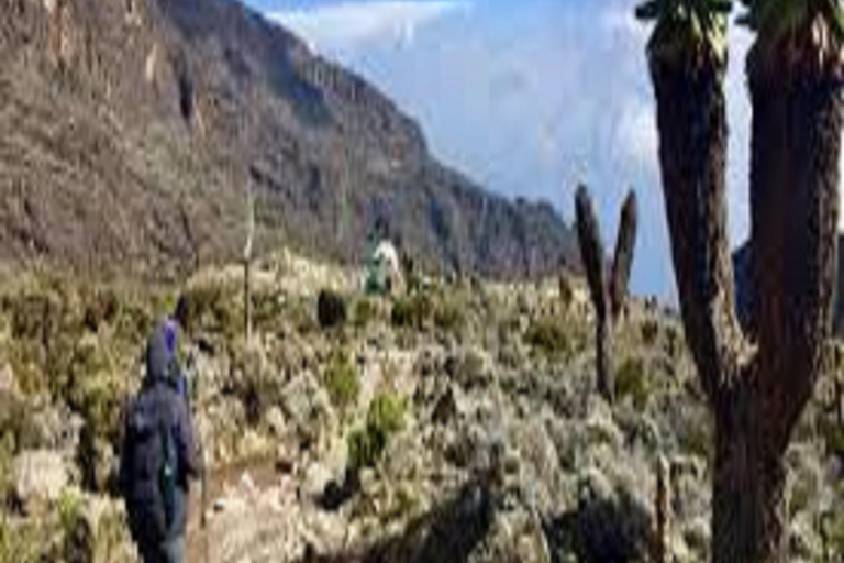 3-DNIOWY NAJLEPSZY TREKKING NA KILIMANDŻARO: ZAOFERUJ TRASĘ MACHAME