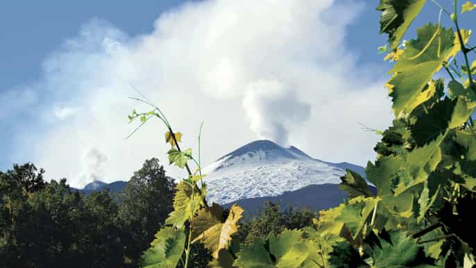 da catania tour del vino delletna di unintera giornata