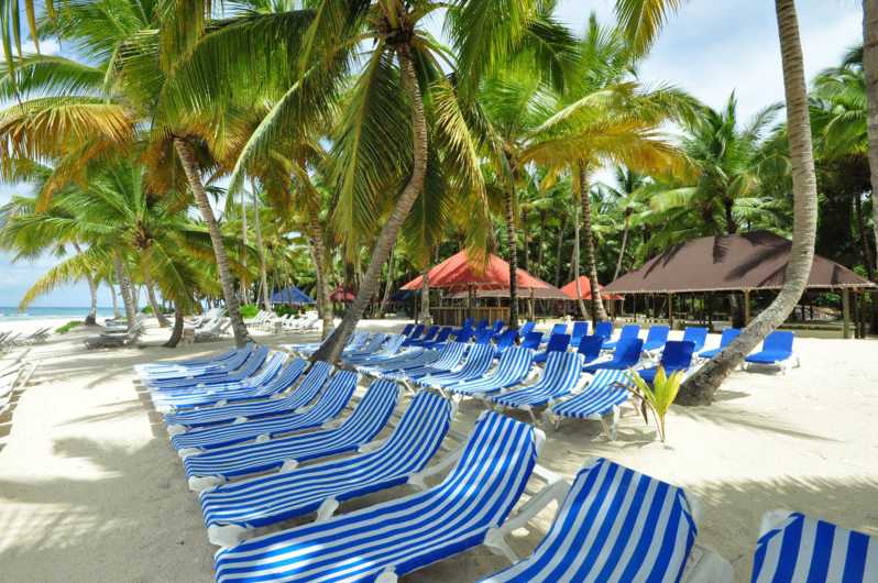 saona island highlights tour by boat with buffet lunch