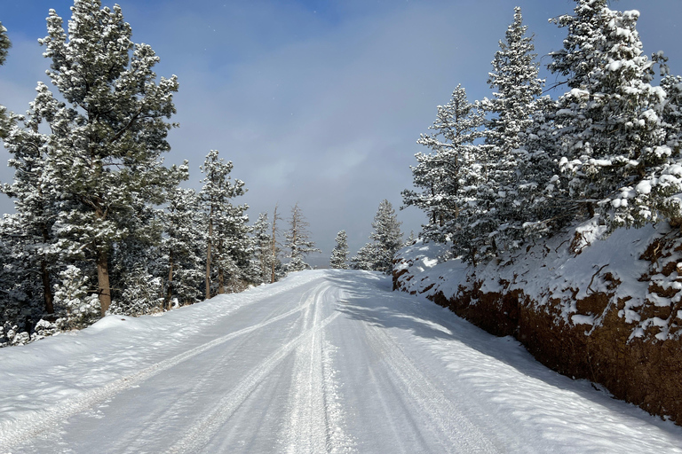Colorado Springs: Garden of the Gods Guided Jeep Tour