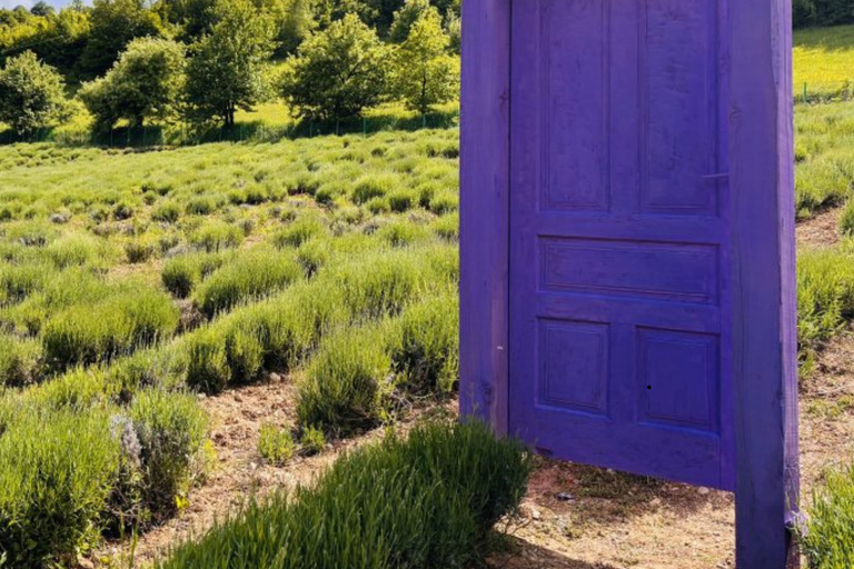 From Sarajevo: Tour to 3 unique farms