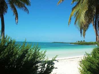 Cancun - en resa Isla Contoy & shoppingtur i Isla Mujeres