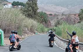  - Canarie.it