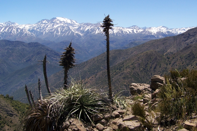 Vanuit Santiago: Wandeling van een halve dag in het Andesgebergte