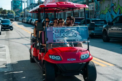 Miami: Wynwood Walls Entry und Neighborhood Buggy Experience