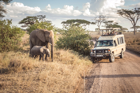 Tanzania: Escapada de luna de miel de 10 días al Serengeti y Zanzíbar