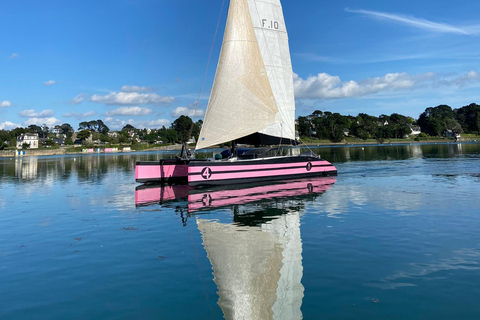 Bay of Quiberon or Morbihan gulf: Evening 2 hours navigation From La Trinité-sur-mer - Quiberon Bay