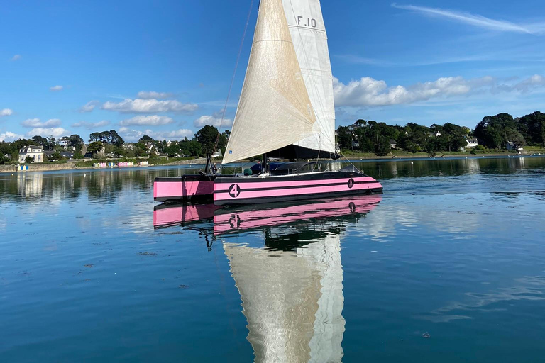 Bay of Quiberon or Morbihan gulf: Evening 2 hours navigation From La Trinité-sur-mer - Quiberon Bay