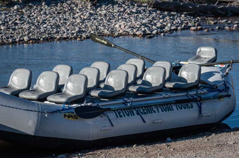 Jackson Hole: tour panoràmic amb carrosses al riu Snake amb cadires