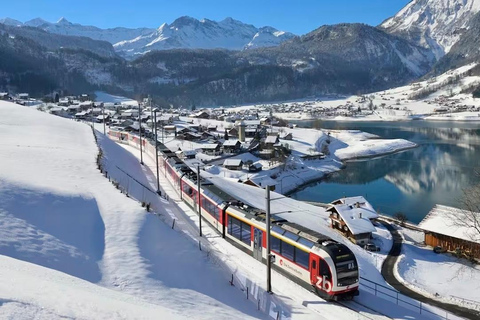 Zurich: Hardcore Swiss Train Tour–4 Scenic Railways in 1 day Excluding Train Tickets