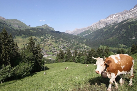 Ab Lausanne: Glacier 3000-Erlebnis & Tour nach MontreuxGlacier 3000 & Diablerets ohne Seilbahn