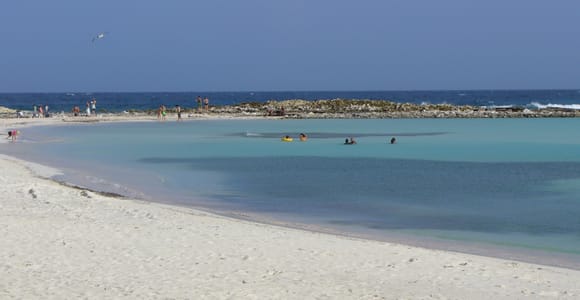 Aruba: Beach Hopping Snorkeling Tour