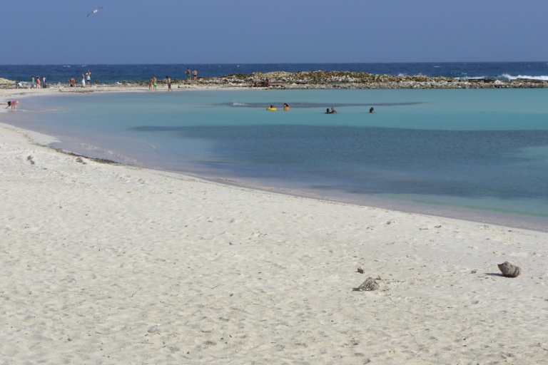 Aruba: snorkelervaring aan het strandAruba: snorkelervaring van strand naar strand