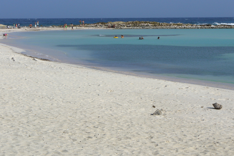 Aruba: snorkelervaring aan het strandAruba: snorkelervaring van strand naar strand